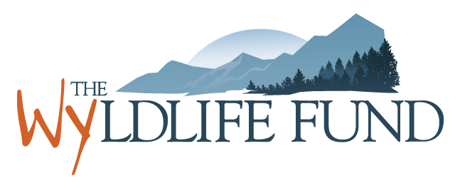 The WYldlife Fund