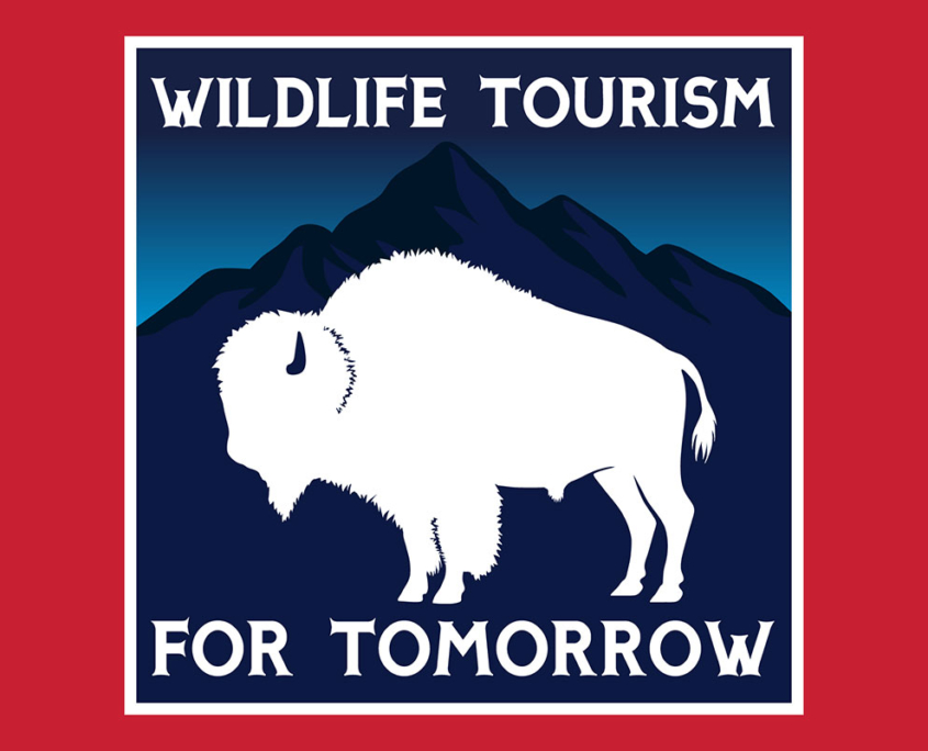 Wildlife Tourism for Tomorrow
