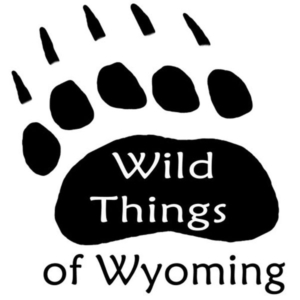 Wild Things of Wyoming